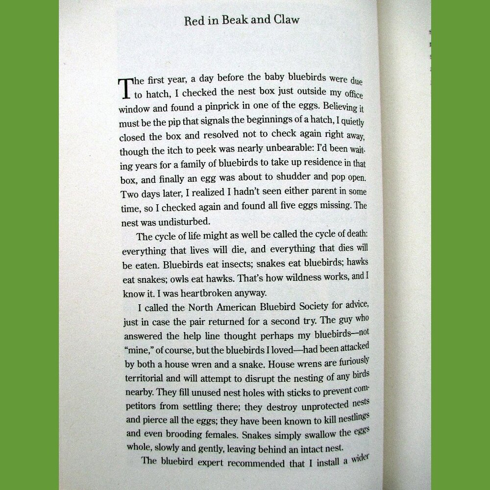 Book - Late Migrations: A Natural History of Love & Loss, by Margaret Renkl - Picture 9 of 13